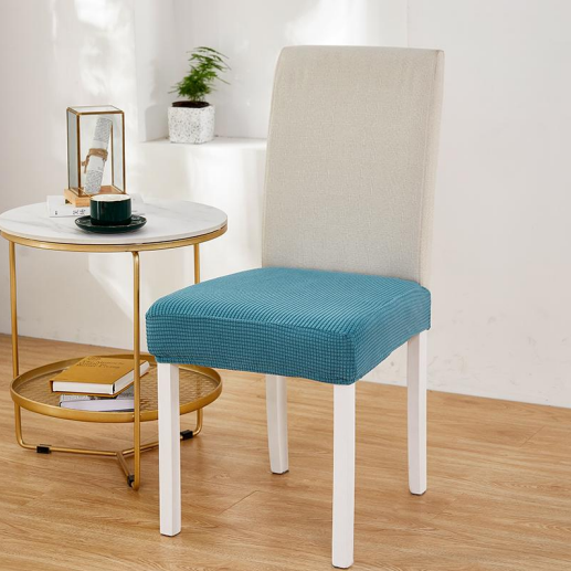 Color Blue 2 Stretchable Chair Protector Cover